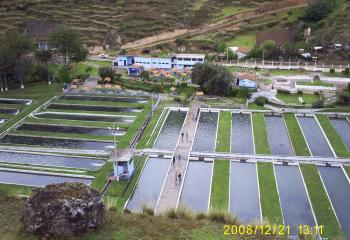 Circuito Tradicional